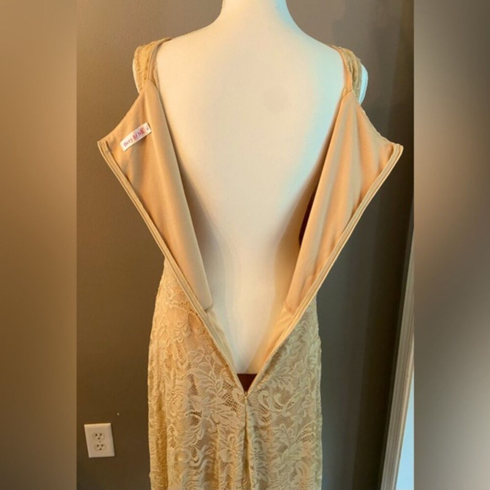 Berry Love High Low Formal Dress XL Chiffon Champagne (Formal or Wedding) - Picture 11 of 13
